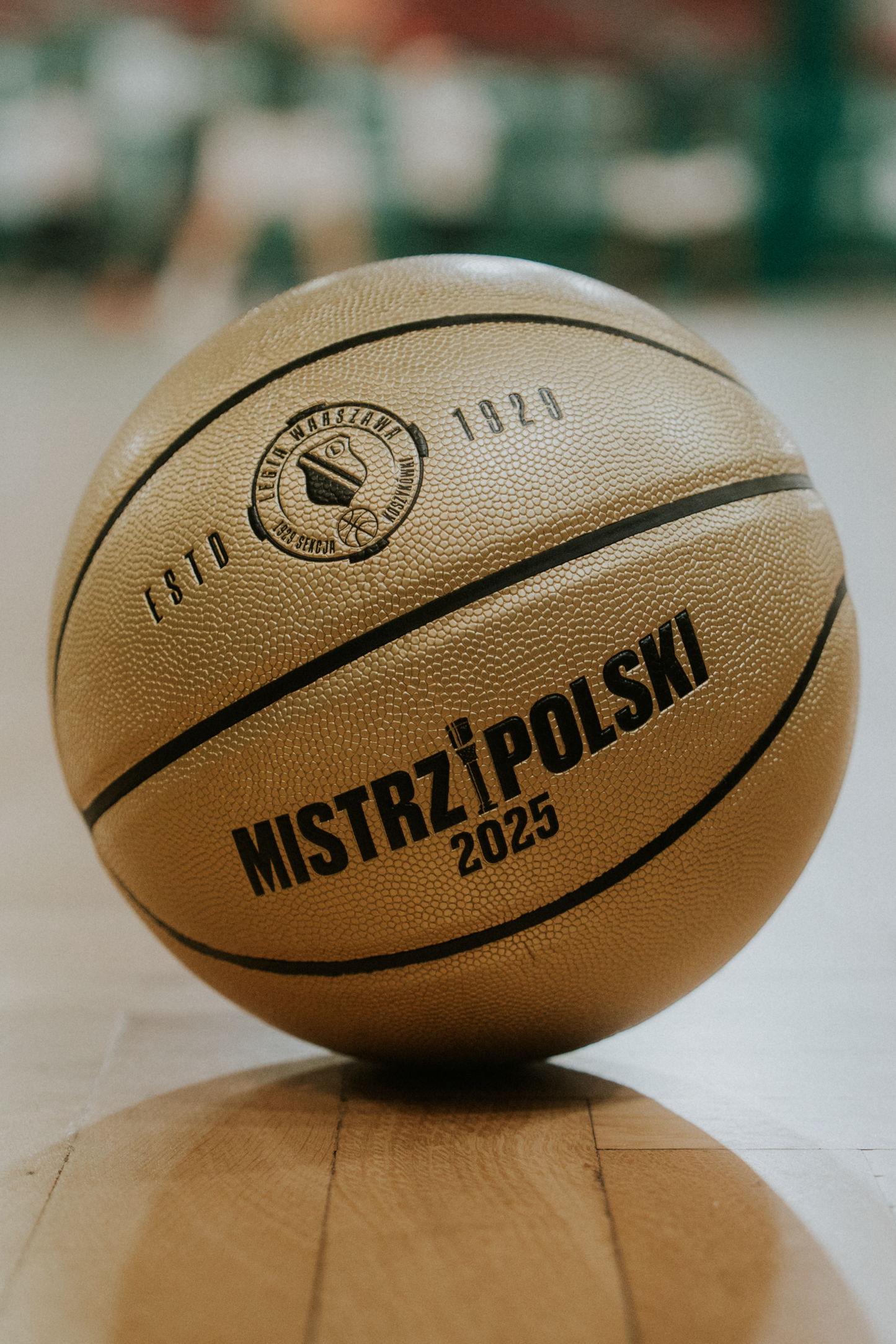 Złota MISTRZOWSKA Piłka (edycja kolekcjonerska)